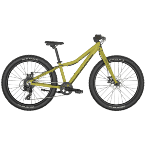 Scott Roxter 24 green
