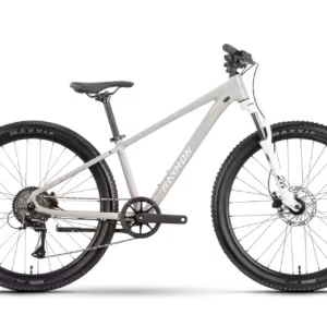 Raymon Nayta 26 Pro