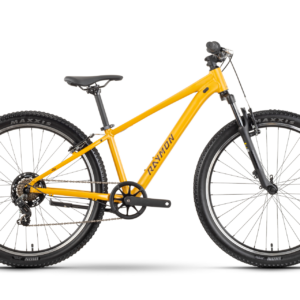 Raymon Nayta 26 Comp