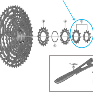 Shimano Zahnkranz-Einheit 12 Gang CS-M9100 10B /12D  Zähne
